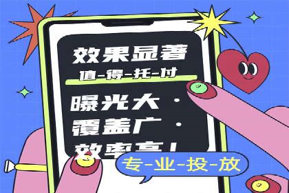 竞价推广成功案例解析
